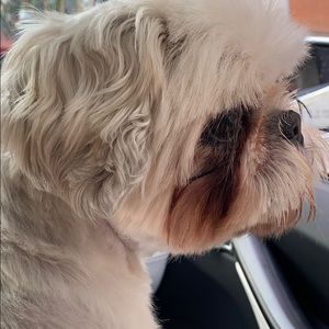 Meet your Posher, Sneha